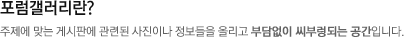 포럼갤러리란? 주제에 맞는 게시판에 관련된 사진이나 정보들을 올리고 부담없이 씨부렁되는 공간입니다.