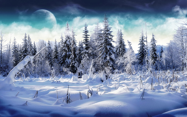winter-wonderland-2.jpg